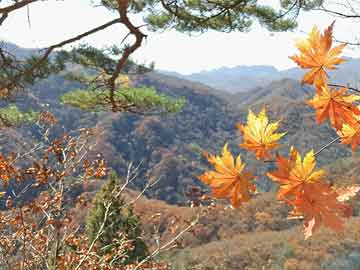 瓜瀝最新規(guī)劃，塑造未來城市的新藍(lán)圖